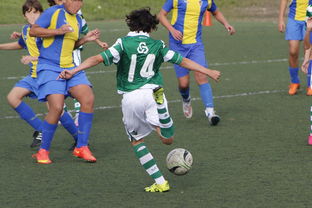 爱游戏app下载-国家体育场运营中心发布暑期开放时间公告，国家体育场百度百科